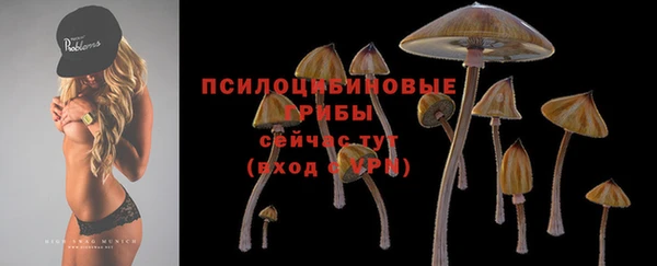 бошки Зеленокумск