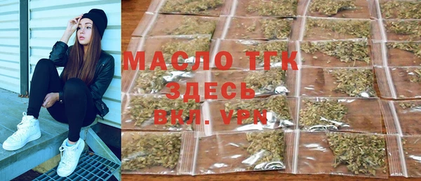 мдпв Инсар