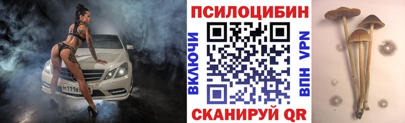 Псилоцибиновые грибы MAGIC MUSHROOMS  Купить где  Краснозаводск 